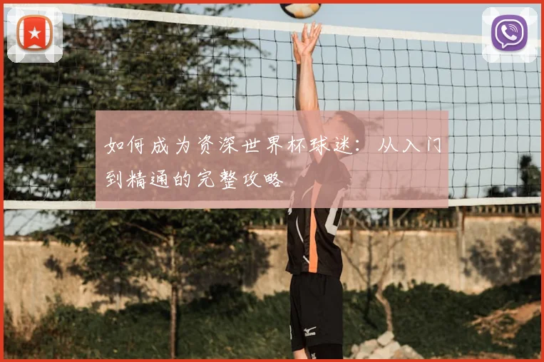 如何成为资深世界杯球迷：从入门到精通的完整攻略